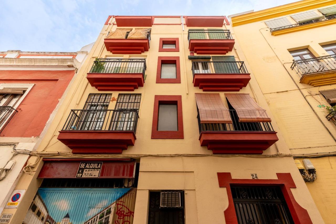 Bustos Tavera Olehousing セビリア エクステリア 写真